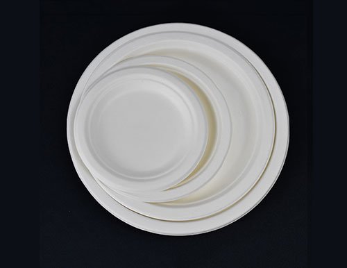甘蔗渣食品餐盤(pán)
